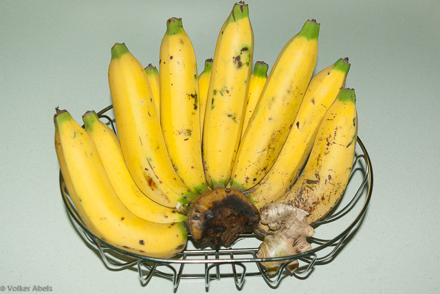 Bananen © Volker Abels - bluthochdrucksymptome.net